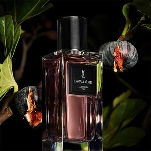 ✨️YSL Lavallière MINI✨️